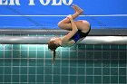 Diving vs USCGA  Wheaton College Swimming & Diving vs US Coast Guard Academy. - Photo By: KEITH NORDSTROM : Wheaton, Swimming, Diving